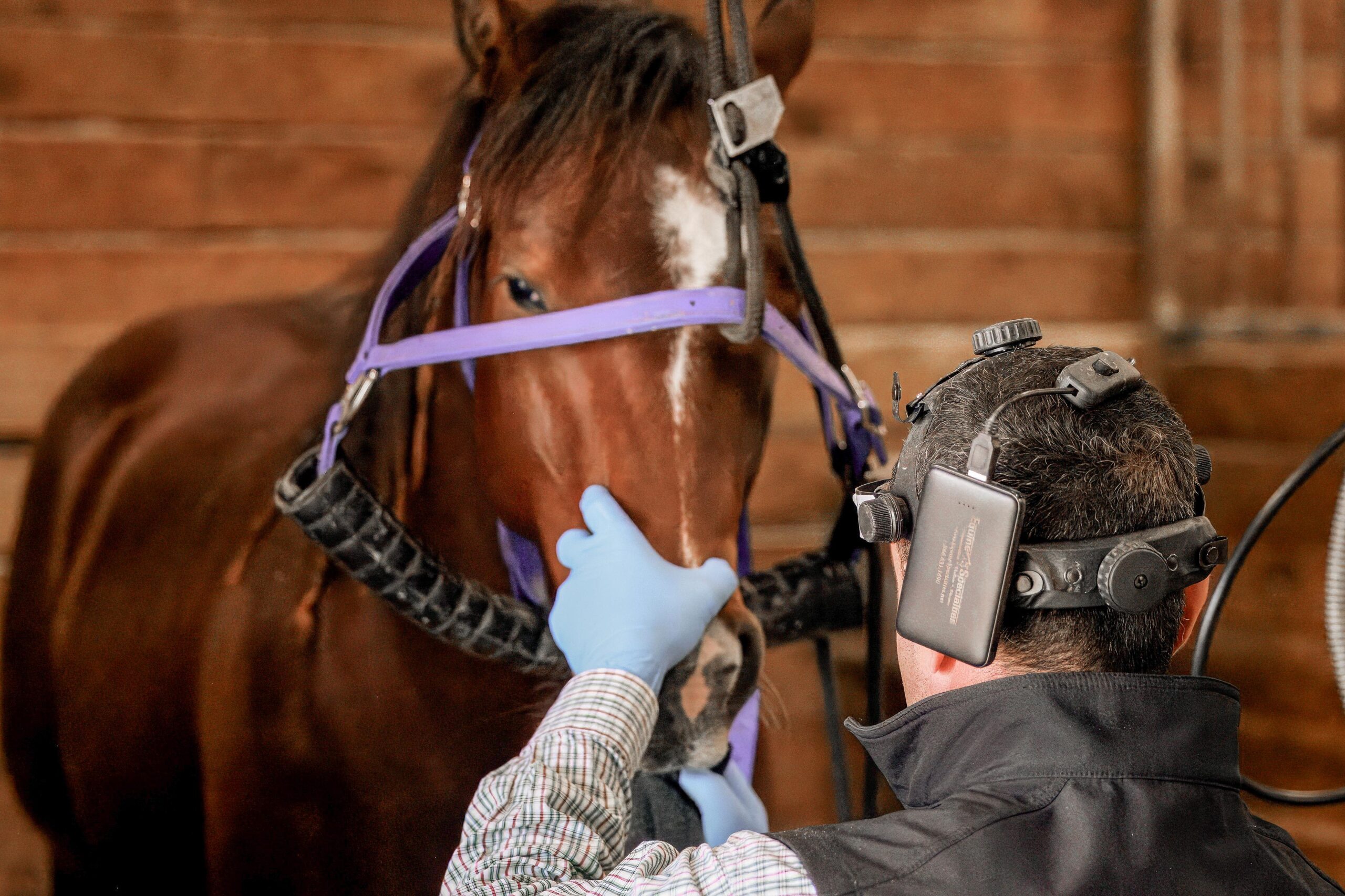 Dr. Rodrigo Atendendo Cavalo