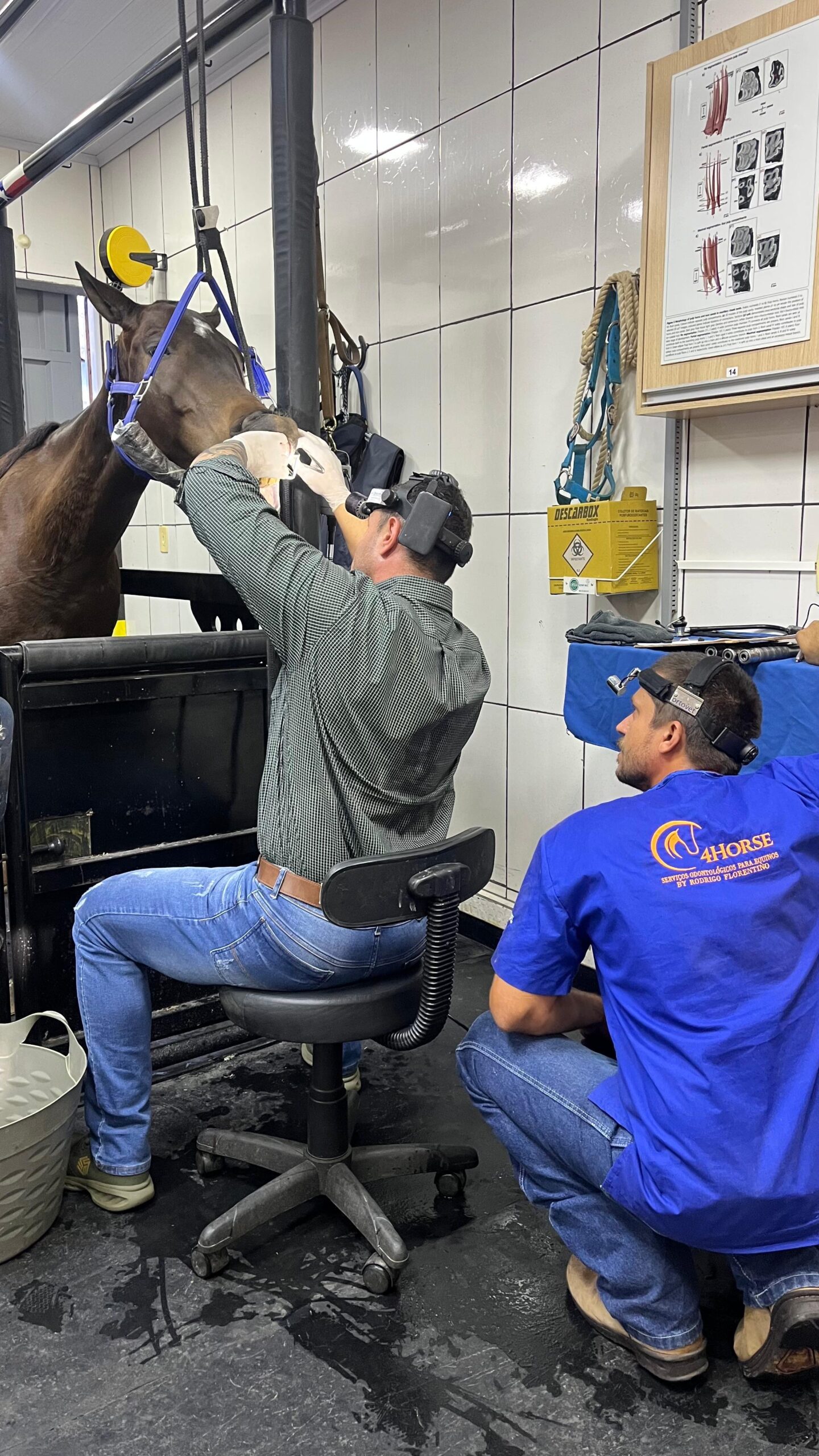 Ajuste oclusal com supervisão constante