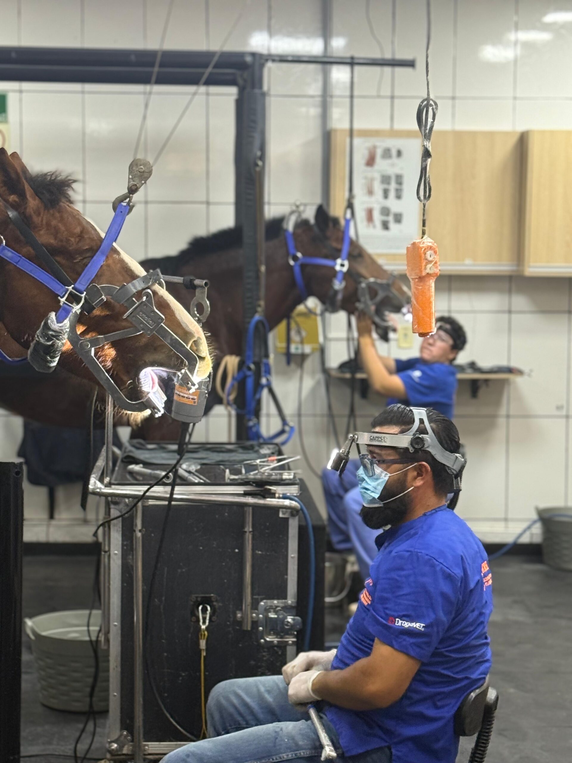 Técnicas de balanço entre hemiarcadas