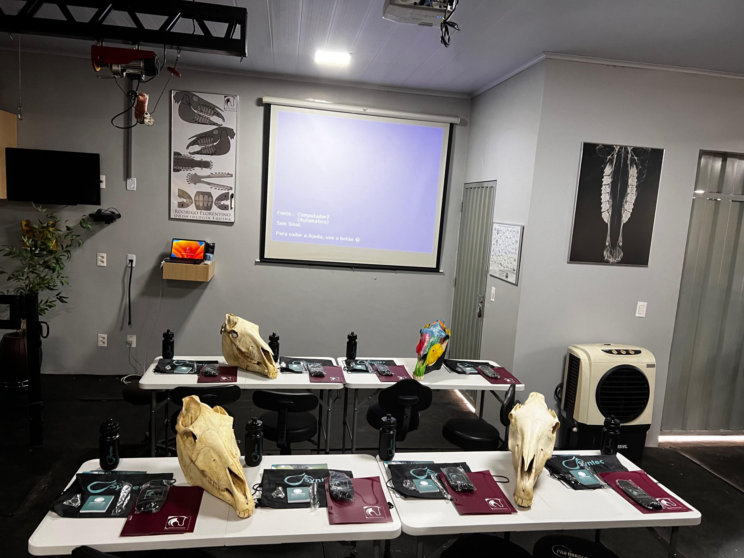 Interpretação de imagens radiográficas