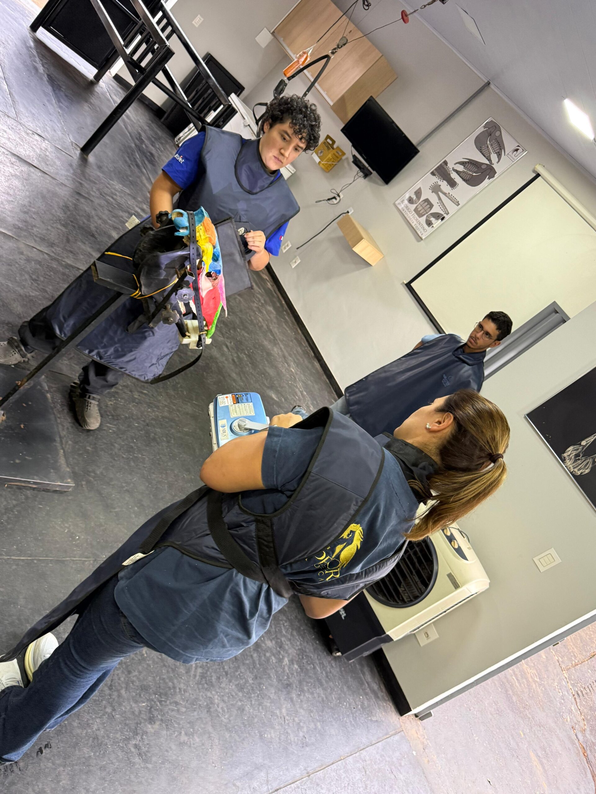 Procedimentos cirúrgicos guiados