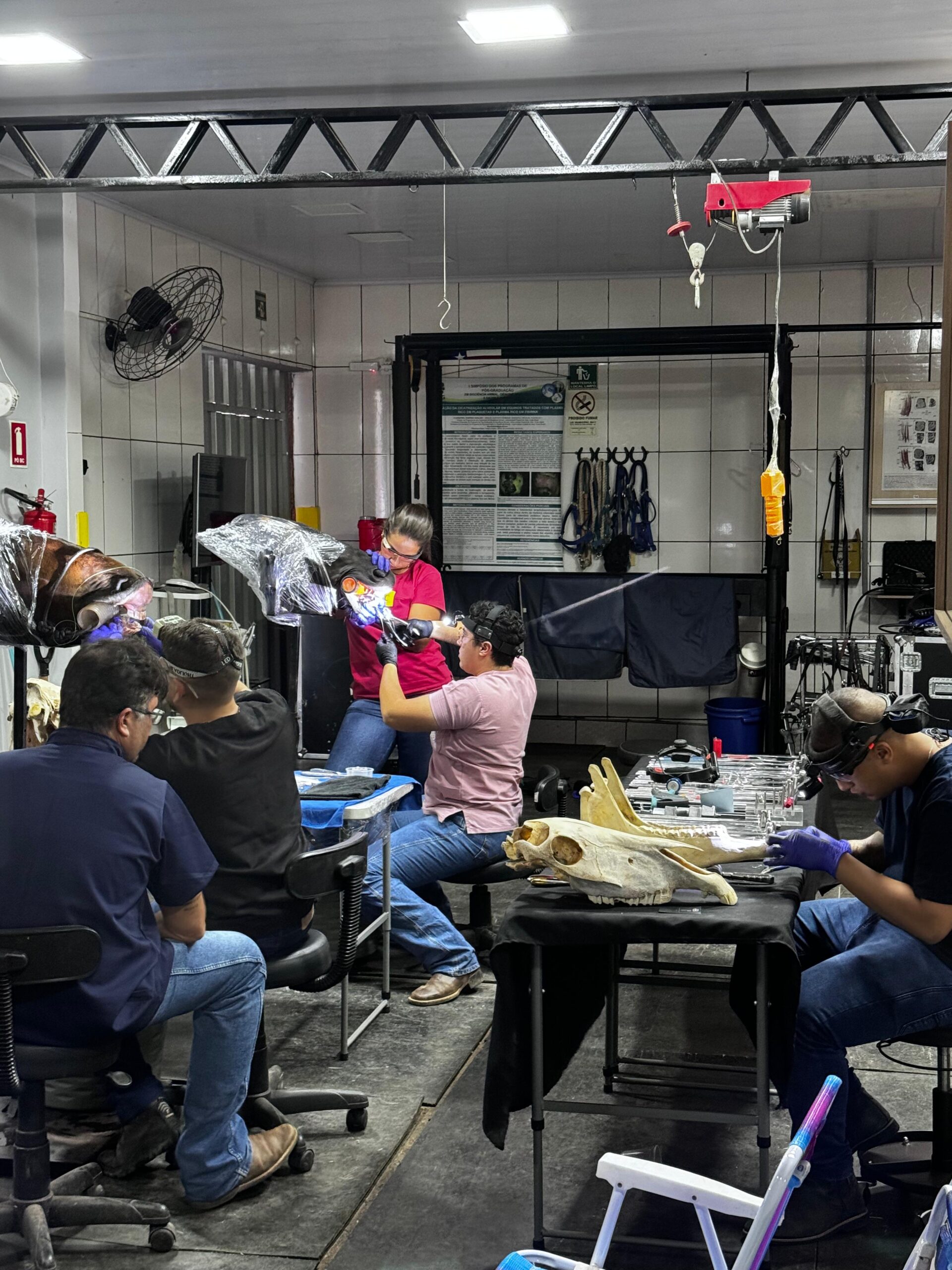 Osteossíntese prática