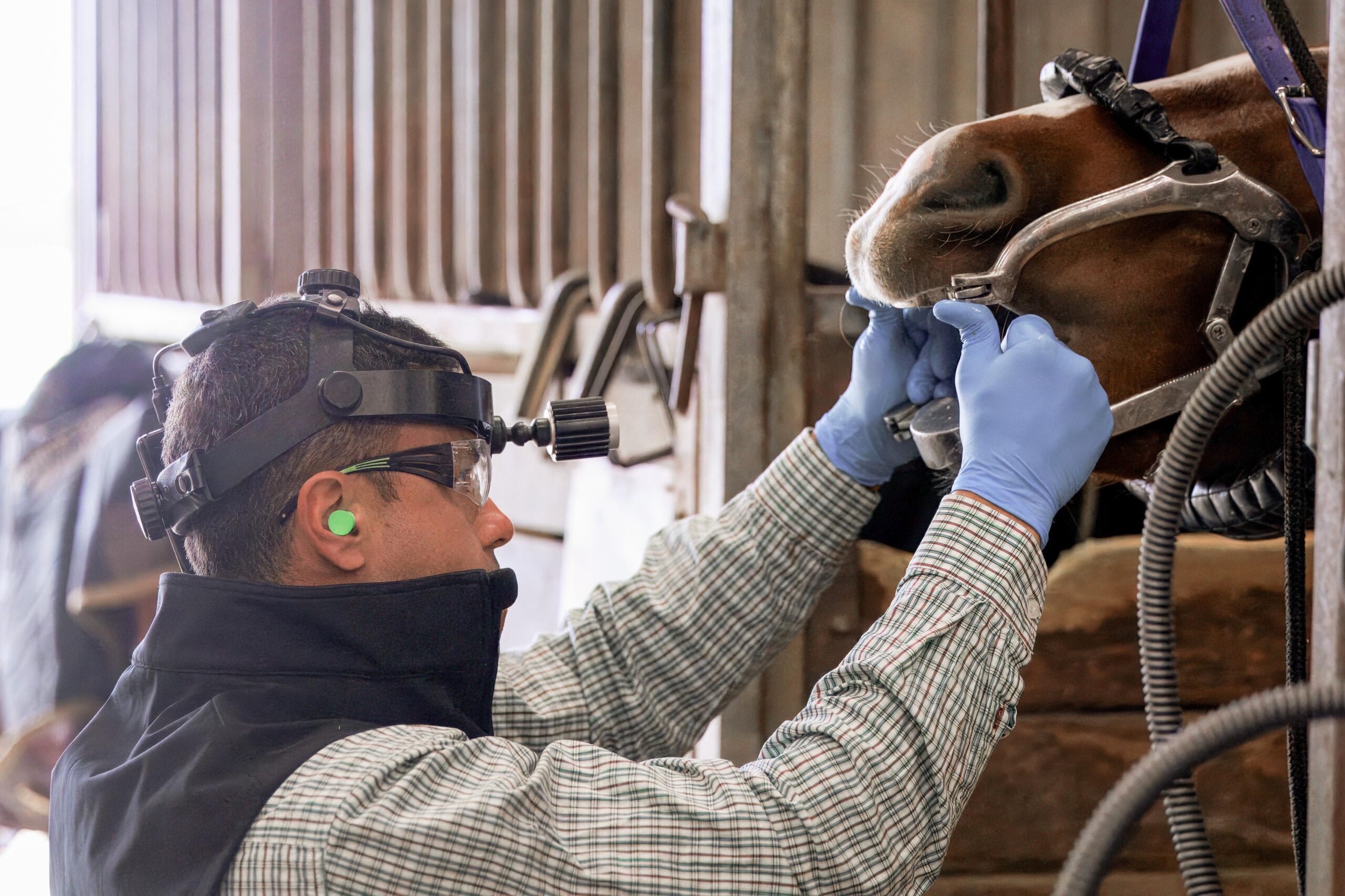 Semiologia e apresentação de casos