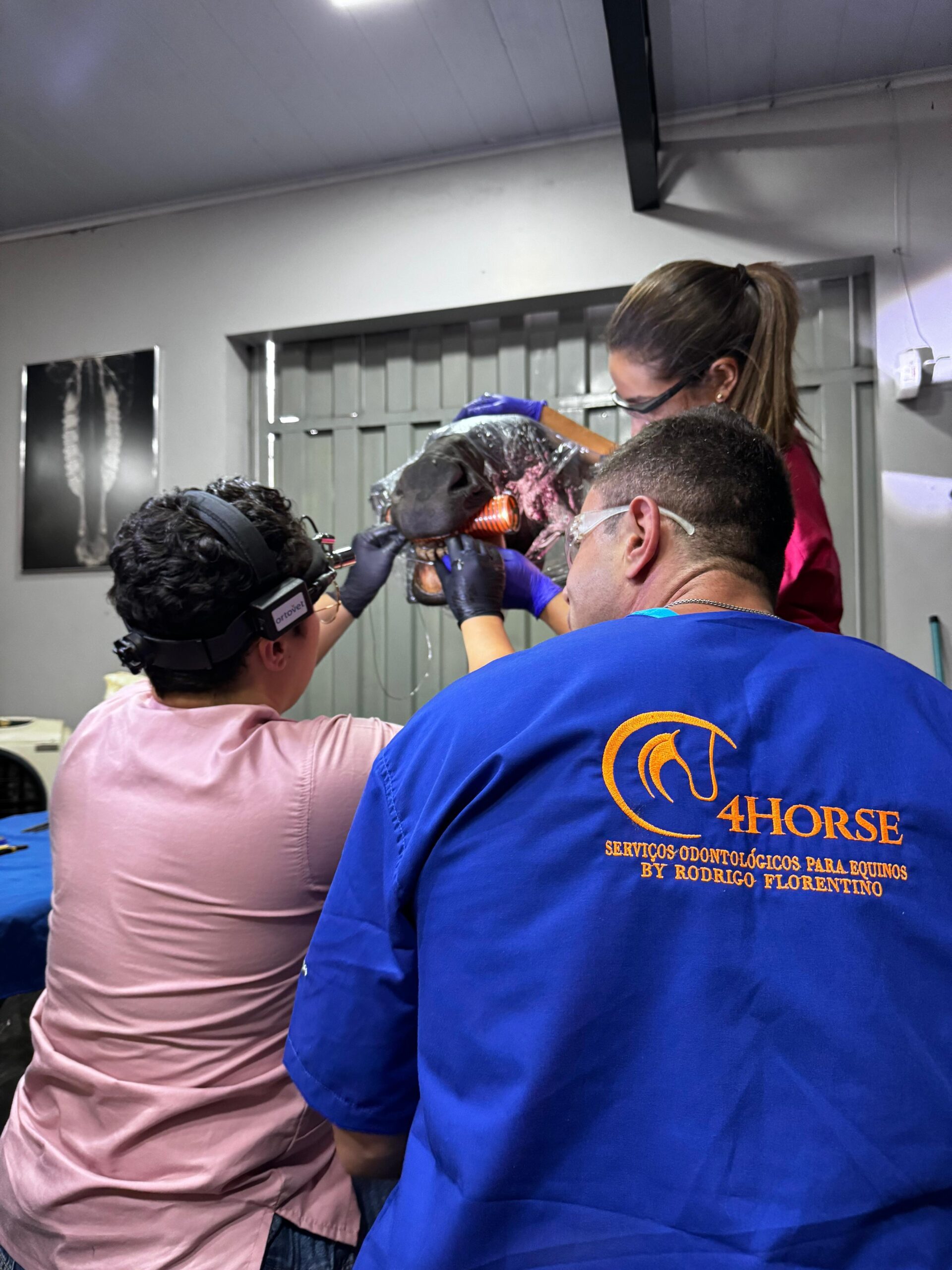 Prática com múltiplos cavalos