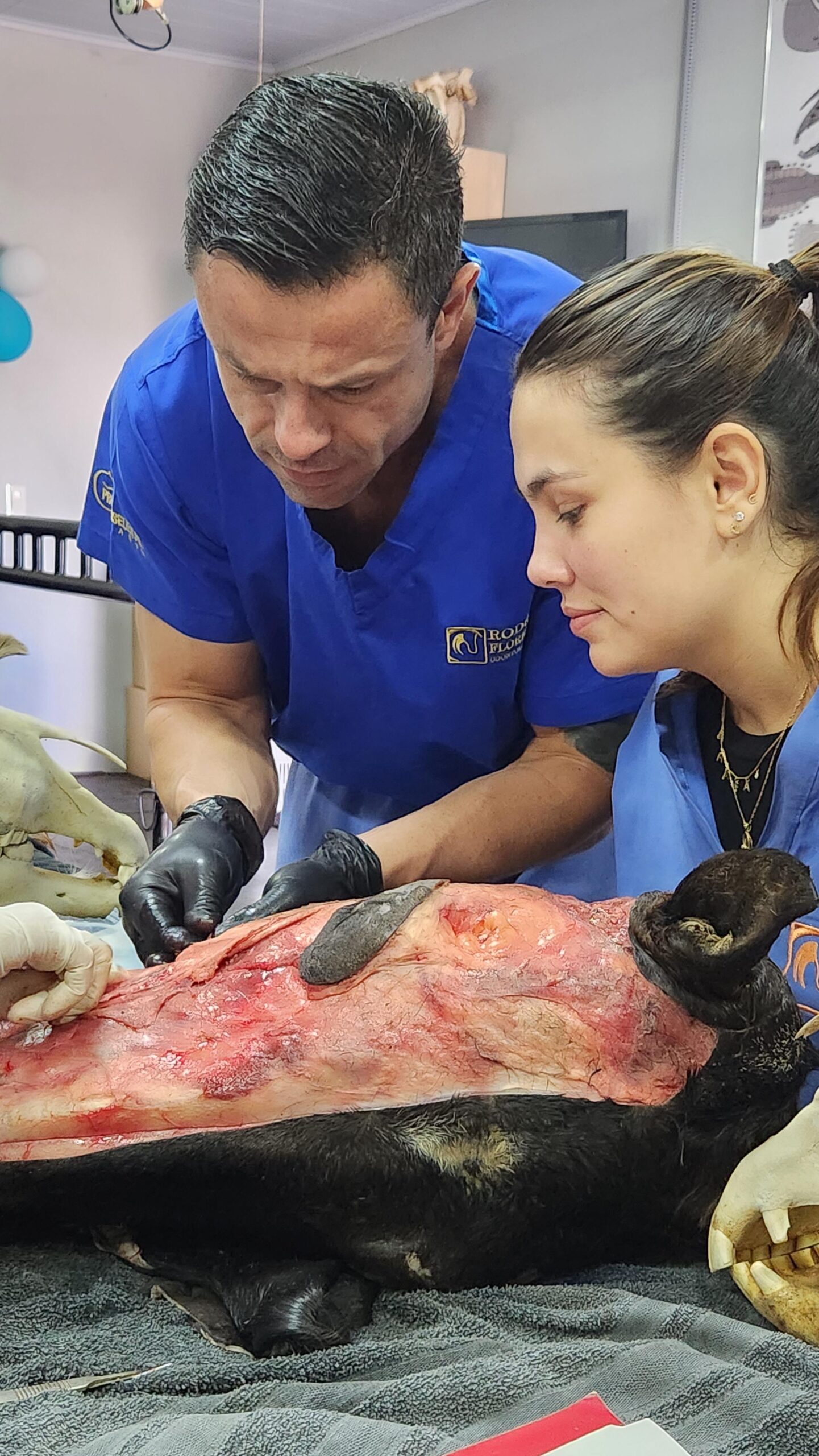 Desenvolvimento de sensibilidade manual